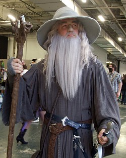 Gandalf ‘The Hobbit’ and ‘Lord Of The Rings’ - Cosplayer